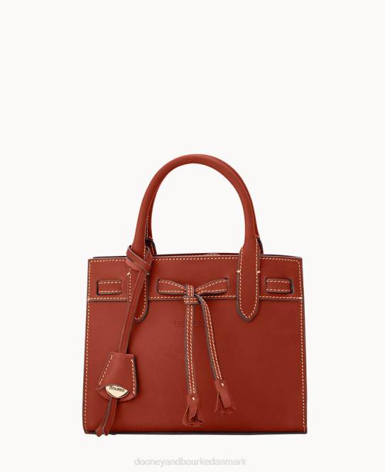 Dooney & Bourke alto mini kvast crossbody JV0J2046 poser sadel